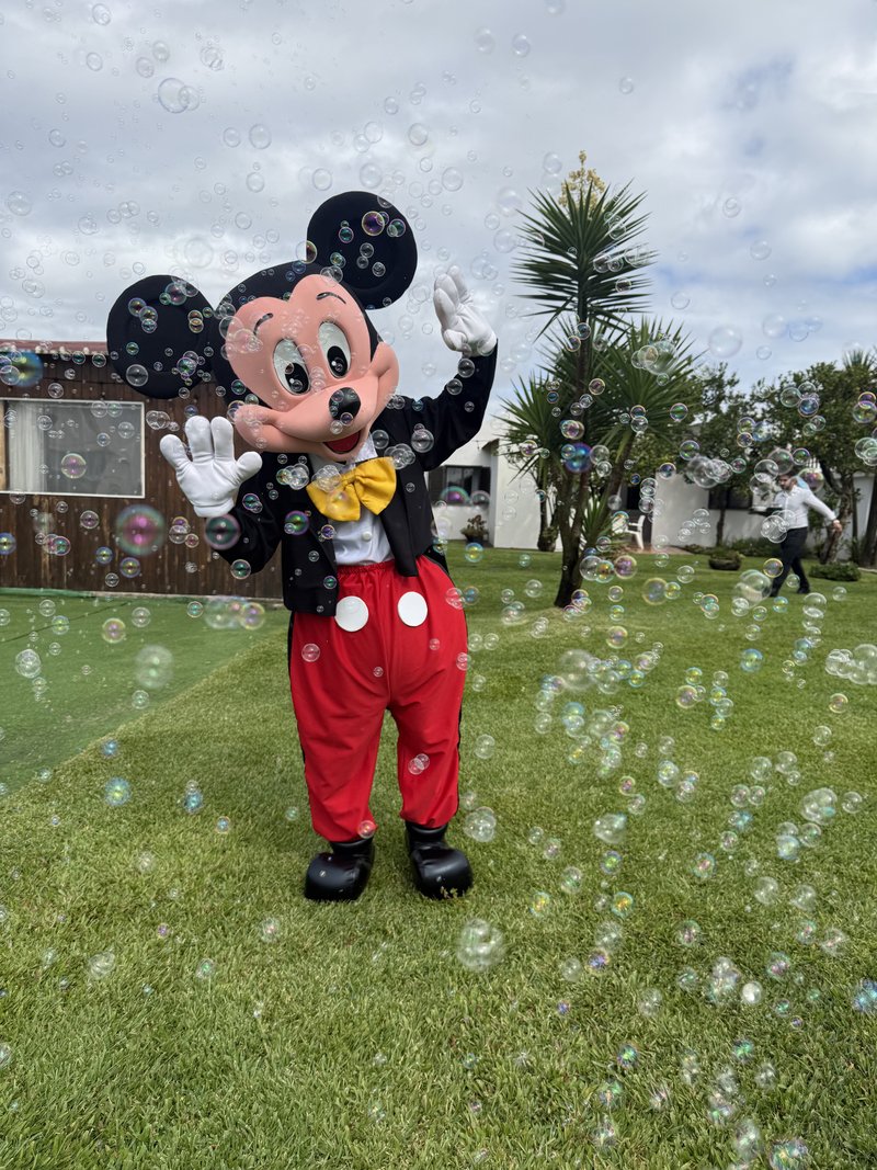Show Mickey e Minnie