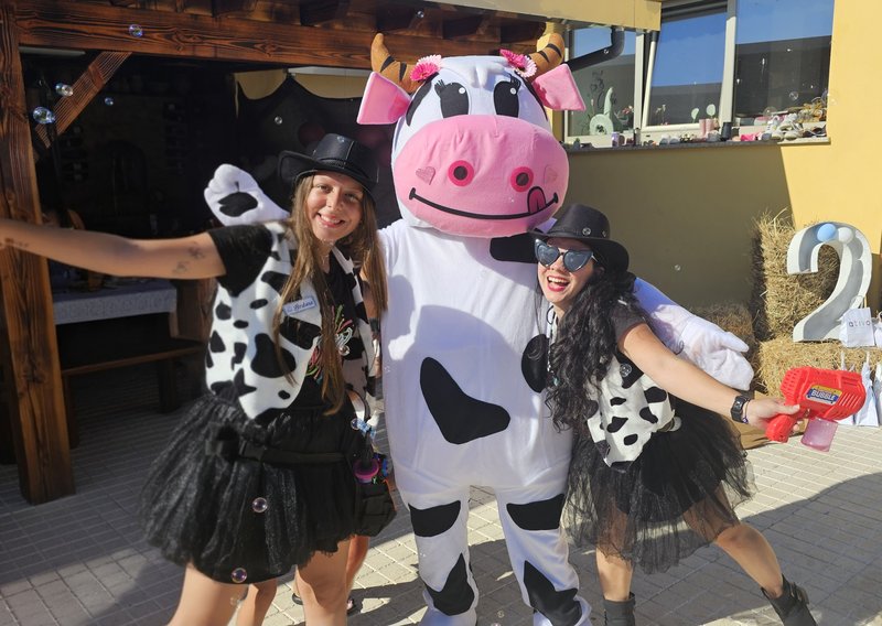 Vaca Lola (Festa na Quinta)